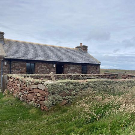 The Ruah - Clifftop Retreat Whitehall エクステリア 写真