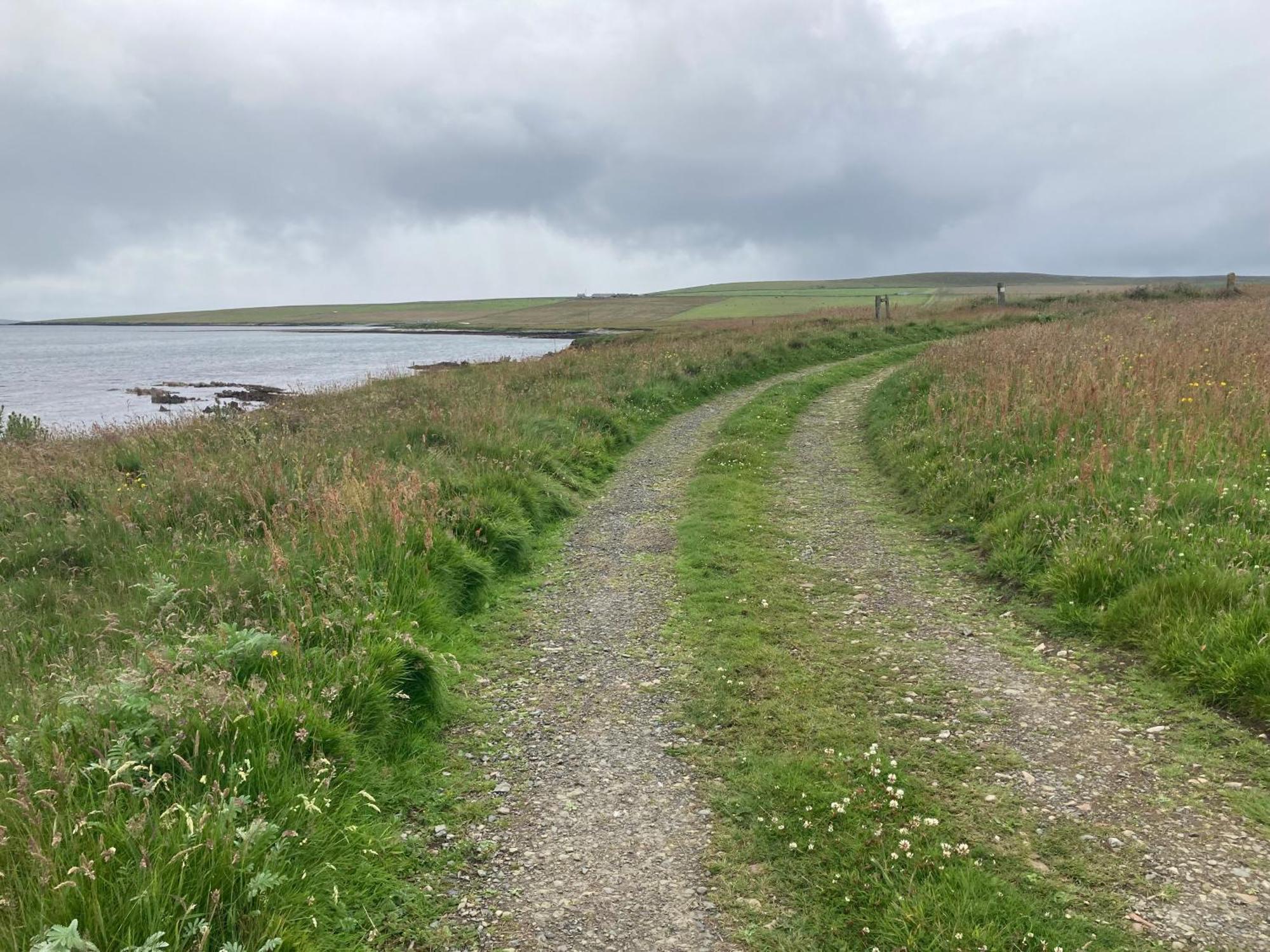 The Ruah - Clifftop Retreat Whitehall エクステリア 写真